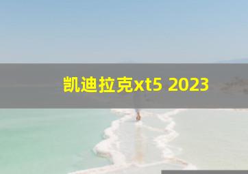 凯迪拉克xt5 2023